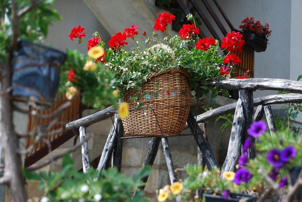 Seoski Turizam Melovic Rozanstvo Luaran gambar